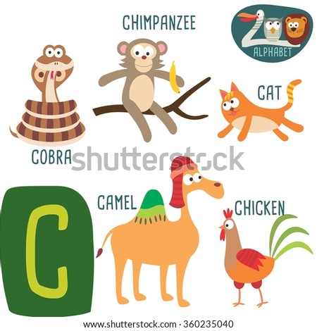 Cute Zoo Alphabet In Vector.C Letter. Funny Cartoon Animals: Camel ...