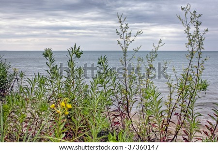 Lake Huron, bounded on the west by the U.S. state of Michigan, and on the east by the province of Ontario, Canada