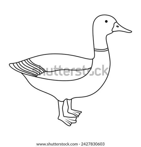Duck in continuous line art drawing style. Abstract duck walking minimalist black linear sketch isolated on white background.	