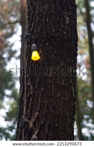 Similar – Image, Stock Photo Wild connected light bulb with cable net in a socket in front of a palm tree