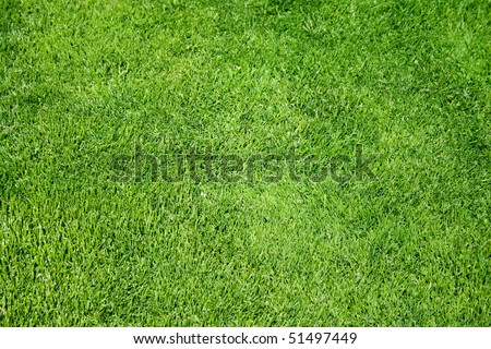 Bright green grass texture Images - Search Images on Everypixel