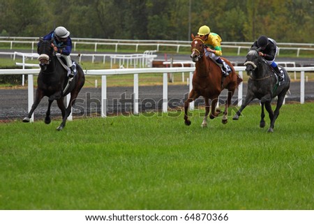 CASTERA VERDUZAN, FRANCE - OCTOBER 4: The leader watches his rivals as they sprint up the home straight in a race at the Baron hippodrome Castera Verduzan, France on October 4, 2010.