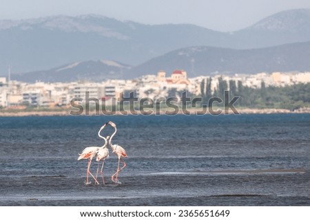 Similar – Image, Stock Photo Landscape of Evros river in Greece.