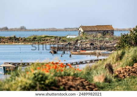 Similar – Image, Stock Photo Landscape of Evros river in Greece.