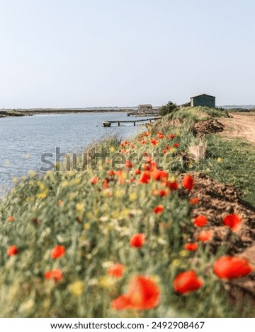 Similar – Image, Stock Photo Landscape of Evros river in Greece.