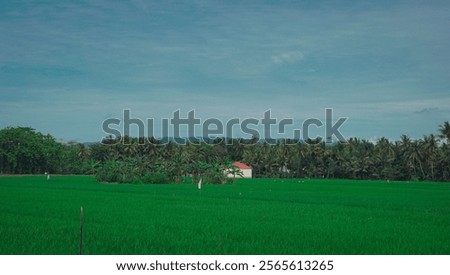 Similar – Foto Bild weites land strand nordsee