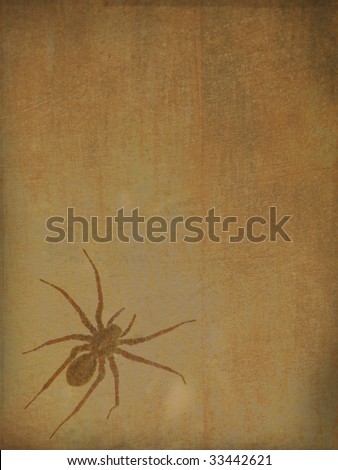 Old-textured  background With a spider