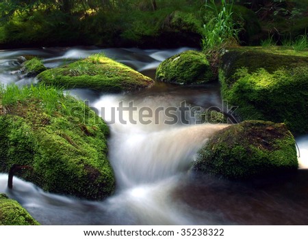 Stream in the forest with stones covered by moss