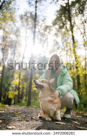 Similar – Image, Stock Photo Hike with dog in the high mountains