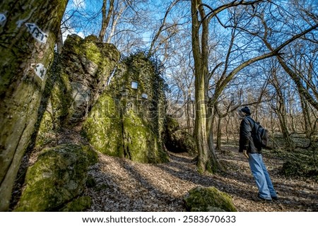 Similar – Image, Stock Photo Hiker observing forest in binoculars