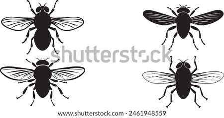 Silhouette Set Of house Fly, Isolated on white background.