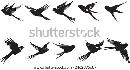 Swallow Birds Silhouette Set, collection of swallow birds