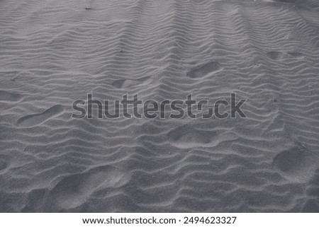 Similar – Image, Stock Photo windswept Wind Walking