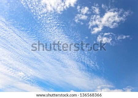 Light clouds of various types on the background of a blue sky - background.