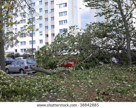 GDANSK - OCTOBER 14: Hurricane in the city Gdansk breaks dozens of trees and destroys many cars on October 14, 2009 in Gdansk, Poland.