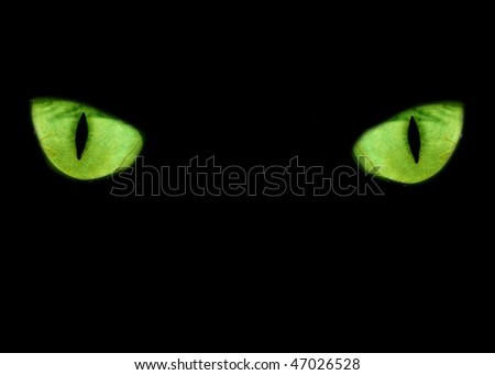 Blue feline eyes in the dark