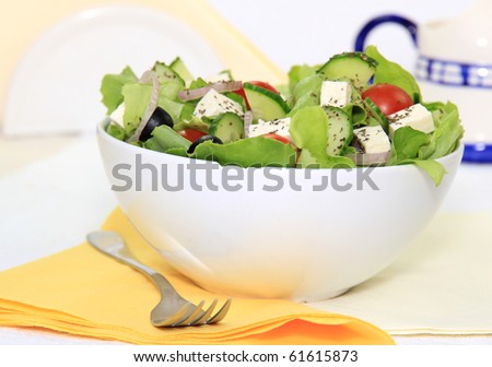 Fresh garden salad