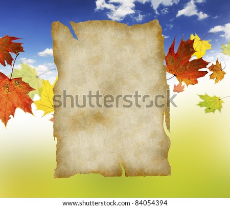 Blank paper scroll with maple leaves