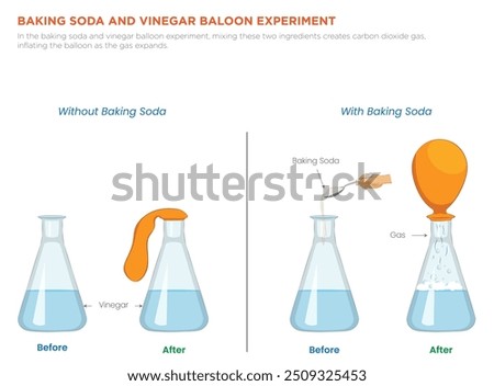 In the baking soda and vinegar balloon experiment, mixing these two ingredients creates carbon dioxide gas, inflating the balloon as the gas expands.