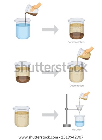 Sedimentation, decantation, and filtration are processes used to separate mixtures by settling, pouring off liquids, and filtering solids from liquids.