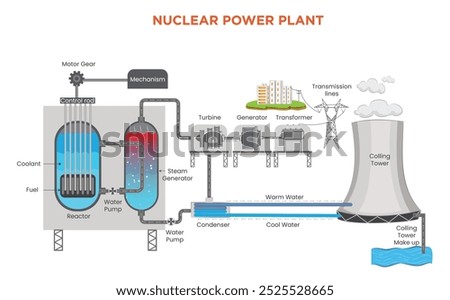 A nuclear power plant generates electricity by using heat from nuclear fission to produce steam, which drives turbines connected to electrical generators.