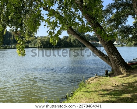 Similar – Image, Stock Photo Tree trunks hang over the surface of the water of Lake Baltieji Lakajai in Labanoras Regional Park, Lithuania. Picturesque autumn landscape