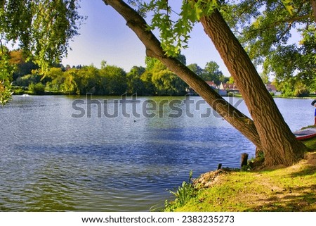 Similar – Image, Stock Photo Tree trunks hang over the surface of the water of Lake Baltieji Lakajai in Labanoras Regional Park, Lithuania. Picturesque autumn landscape