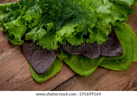 freshness  lettuce, parsley, dill and spinach on wooden background