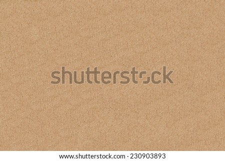 Texture brown Paper.  Background. Copy Space Parchment