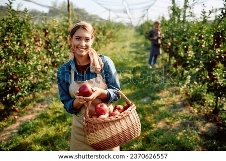 Similar – Foto Bild Frau pflückt reife Äpfel auf dem Bauernhof. Landwirt packt Äpfel vom Baum im Obstgarten. Frische gesunde Früchte bereit, auf Herbst-Saison zu pflücken. Erntezeit auf dem Lande