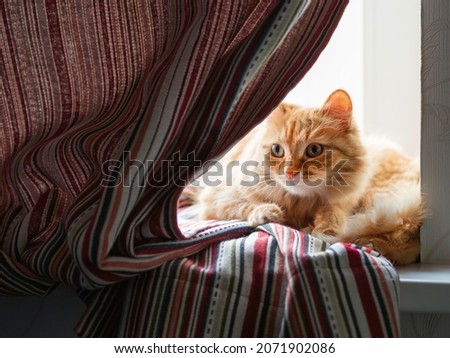 Shutterstock - PuzzlePix