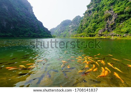 Similar – Image, Stock Photo Lake Tuyet Tinh Coc near Ninh Binh, Vietnam