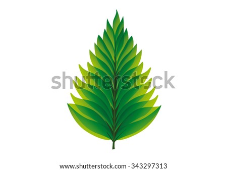 Leaf Of Tree Stock Vector Illustration 343297313 : Shutterstock