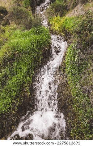 Similar – Image, Stock Photo Foamy mountain stream flowing through stones in sunlight