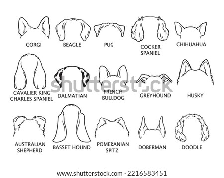 Set of different dogs ears. Collections of cute outline puppy ears. Cute pets design. Elements for masquerade. Vector illustration on white background. Tattoo.