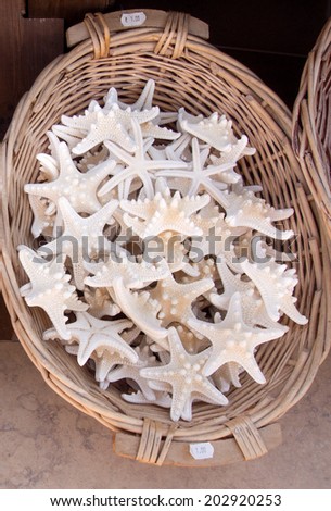 Dead Starfish for sale as souvenirs in a shop