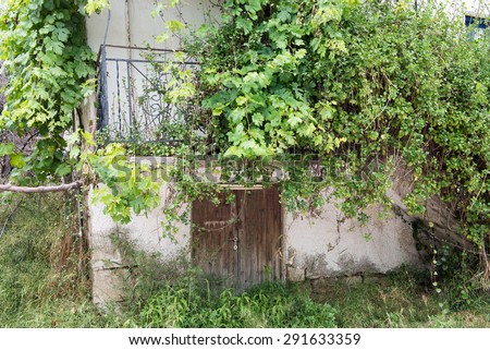 Vines overrun the balcony of an abandoned house
