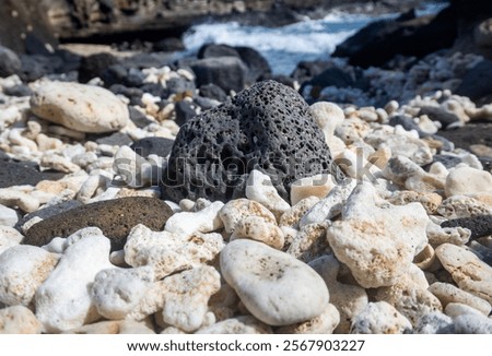 Similar – Image, Stock Photo Lava rocks by the Blue Lagoon in Iceland