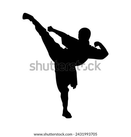 Similar – Image, Stock Photo Martial art practitioners fighting with sticks