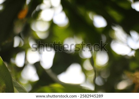 Similar – Image, Stock Photo An Impressionist view of a rural winter landscape