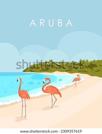 Vector graphics of Aruba, Caribbean. Design for travel poster, postcard, banner, travel guide cover. Tropics, flamingos. Tropical island.