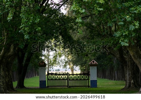 Similar – Image, Stock Photo double quiet road through the dense forest