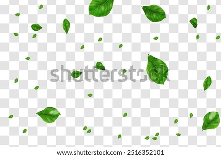 Realistic green leaves flying on transparent background vector