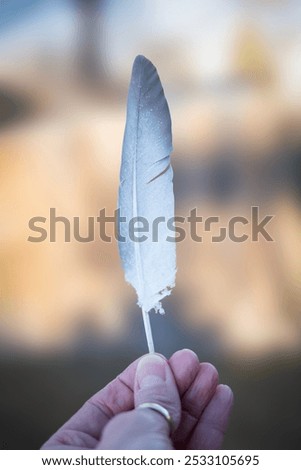 Similar – Image, Stock Photo Hand Holding Bird Feather Wing on Bokeh Background with sun light rays. Spring time season.