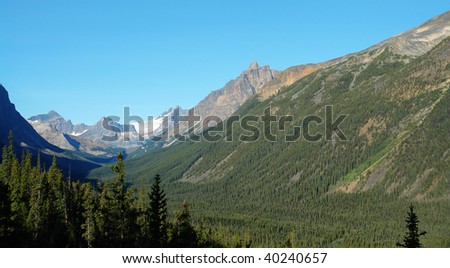 Summer view of rocky mountains and forests in jasper national park, alberta, canada