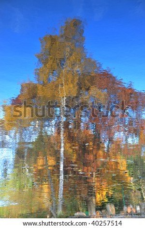 Nature painting of the abstract autumnal tree reflection on pond surface