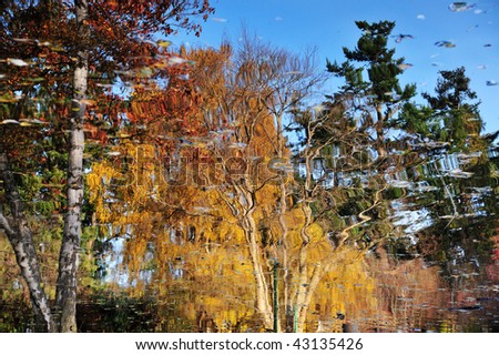 Nature painting of abstract autumnal trees reflection on pond surface