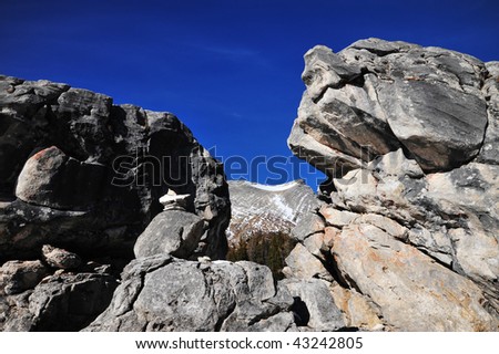 The elephant rock piles near the chester lake, formed by earth shell movement in rocky mountains area. it is a famous site in the chester lake pass at kananaskis country, alberta, canada