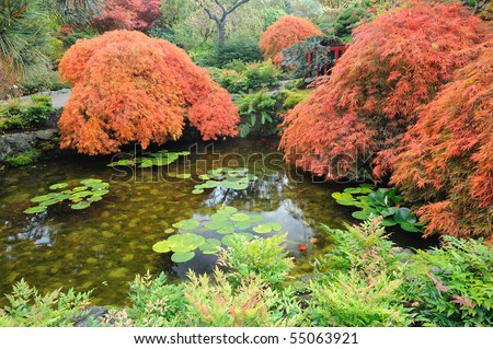 Pond of the japanese garden inside the famous historic butchart gardens (built in 1903), vancouver island, british columbia, canada