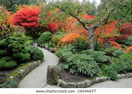 The autumnal japanese garden in victoria, vancouver island, british columbia, canada